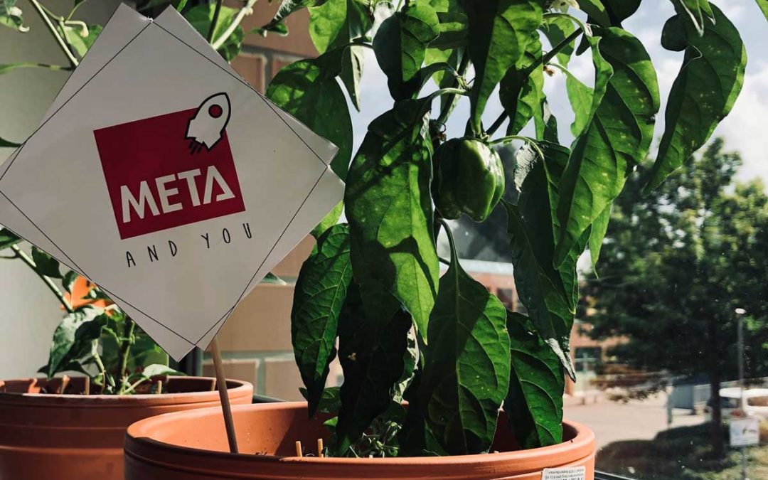 Ganz schön scharf: HUBanero fördert Community-Gedanken